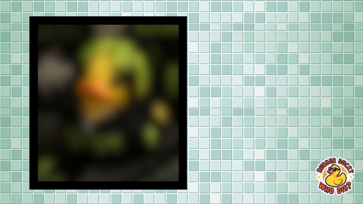 Rubber Ducky, Who Dis? image number null